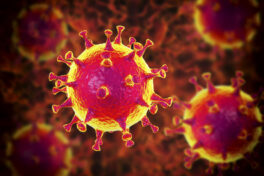 Coronavirus : que faire de mes déchets ?