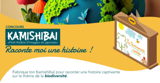 Concours jeune public 2025 : les inscriptions sont ouvertes !